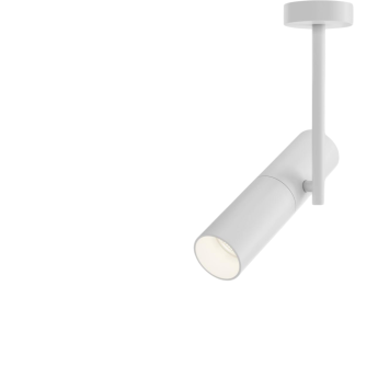 Потолочный светильник MAYTONI ELTI C020CL-01W